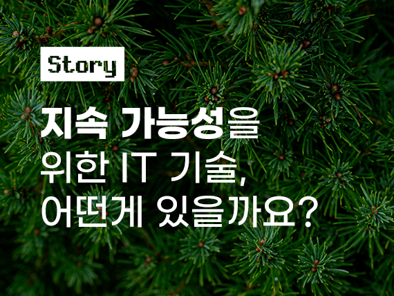콘텐츠 폴더 이미지